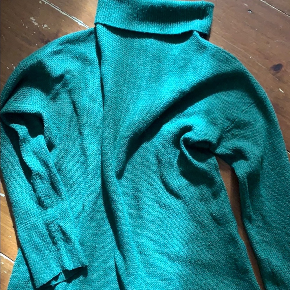 Eileen fisher Green knit sweater